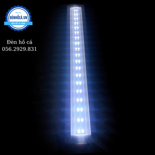 Đèn bể cá mini MS20 dùng cho hồ 20cm đến 30cm