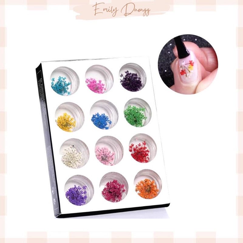 Set hoa khô nail trang trí móng 12 màu
