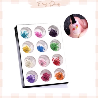 Set hoa khô nail trang trí móng 12 màu