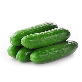 Dưa leo  giòn, ngon, xanh, sạch.