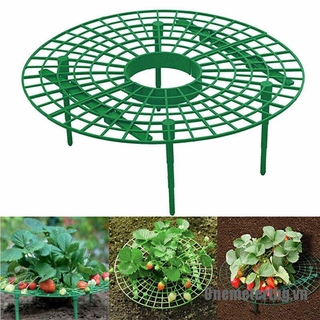 Giá Đỡ Cây Dây Leo Hỗ Trợ Trồng Dâu Tây / Hoa Tiện Dụng