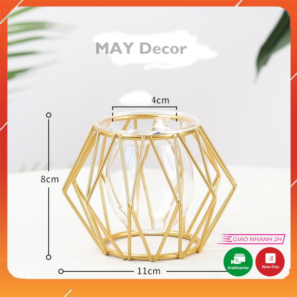 Chậu cây để bàn mini khung sắt trồng cây thông minh thủy tinh sáng tạo cho bàn làm việc đẹp độc lạ | MAY decor | Mã CC02