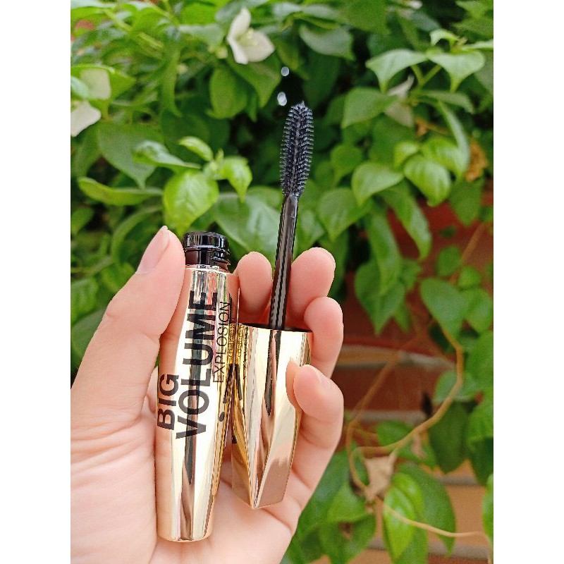 MACCARA EVELINE | BigBuy360 - bigbuy360.vn