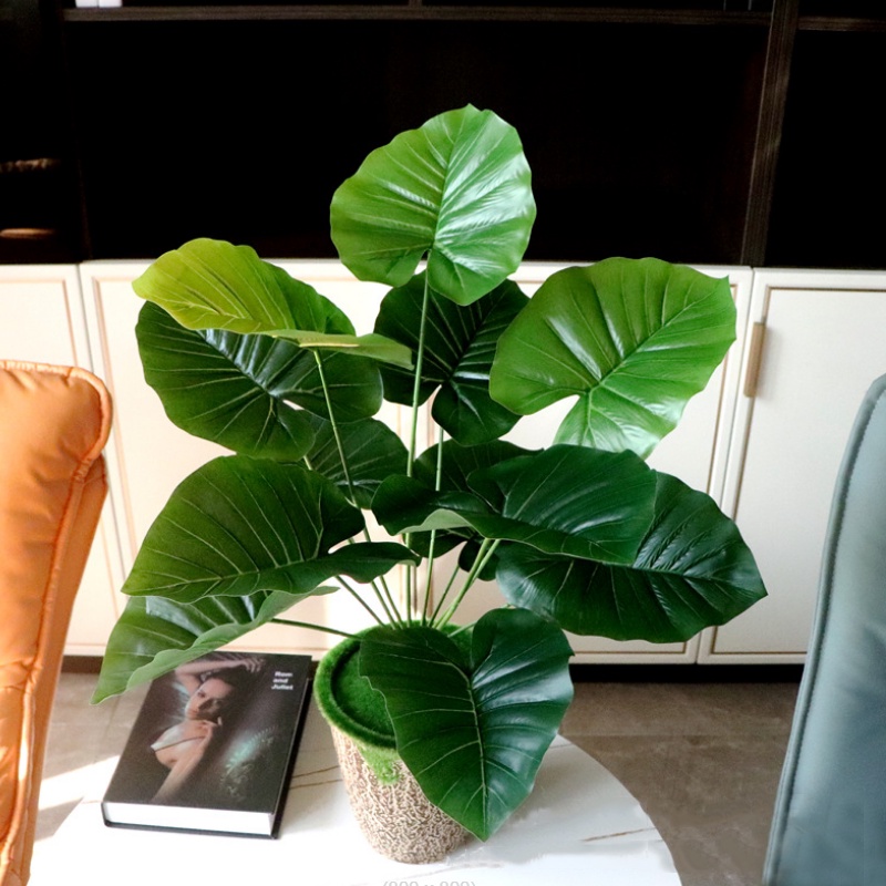 Cây Giả - Cây trầu bà, vạn niên thanh (không kèm chậu) 12 lá cỡ 54 cm trang trí không gian gia đình, văn phòng...