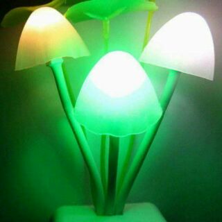 Sỉ đèn nấm cao cấp