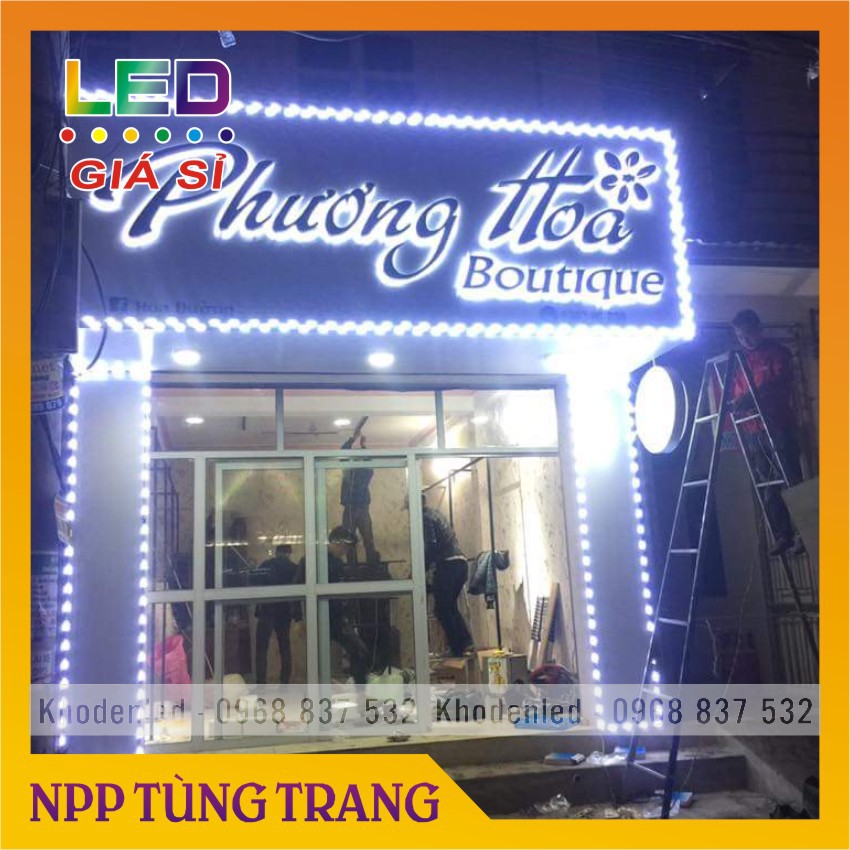 Led hắt 3 bóng mắt lồi điện 12V ( vỉ 20 bóng) loại siêu sáng | BigBuy360 - bigbuy360.vn