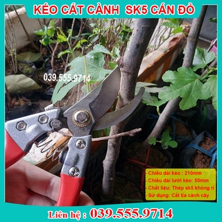 Kéo cắt cành sk5 cán đỏ nhật bản