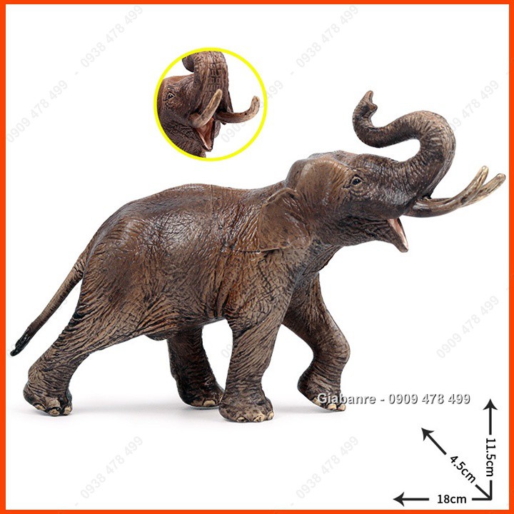Mô Hình Voi Rừng Châu Phi Châu Á - 7665.9a