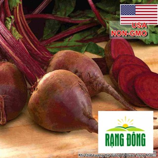 2g hạt giống củ dền đỏ detroit luykyseedvn