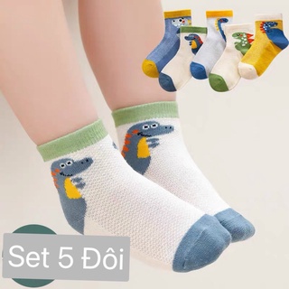 Set 5 đôi tất lưới khủng long cho bé