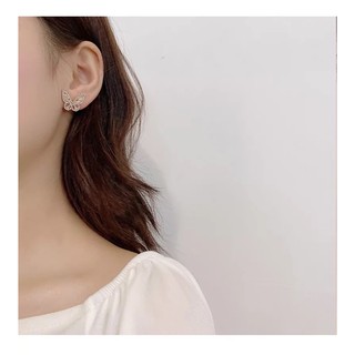 Bông tai bướm lấp lánh 🦋 (chuôi bạc s925)