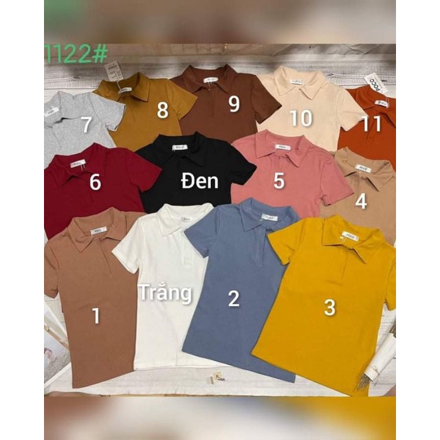 Áo thun trơn cổ bẻ