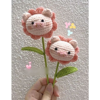 Bông Hoa Heo Len Handmade