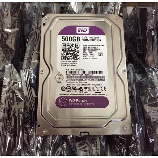 Ổ Cứng HDD 500G Western Tím - Bảo Hành 24 Tháng - Máy Tính 2T