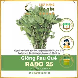Hạt Giống Rau Húng Quế Rado 25 (10gr)