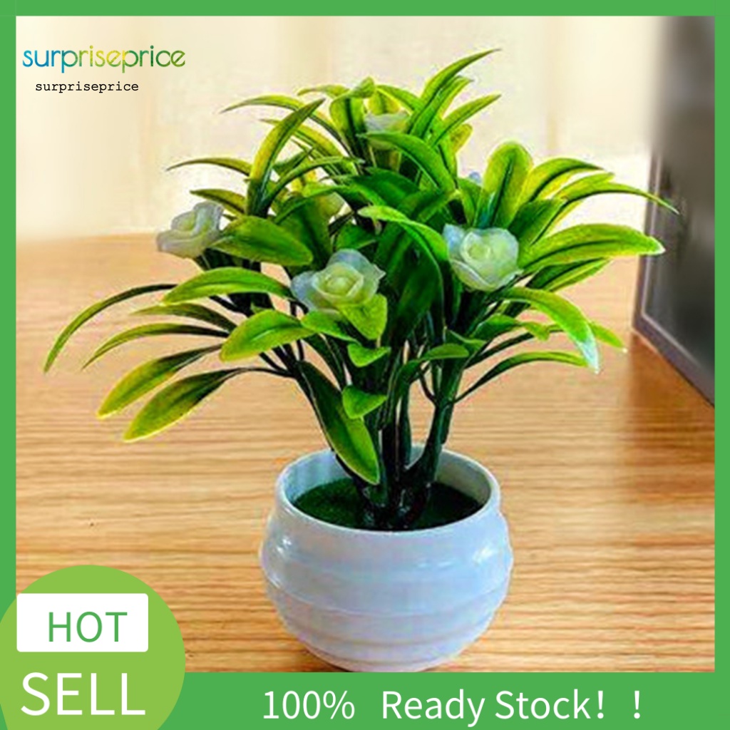 Chậu Cây Giả Sống Động Dùng Trang Trí Văn Phòng / SPA