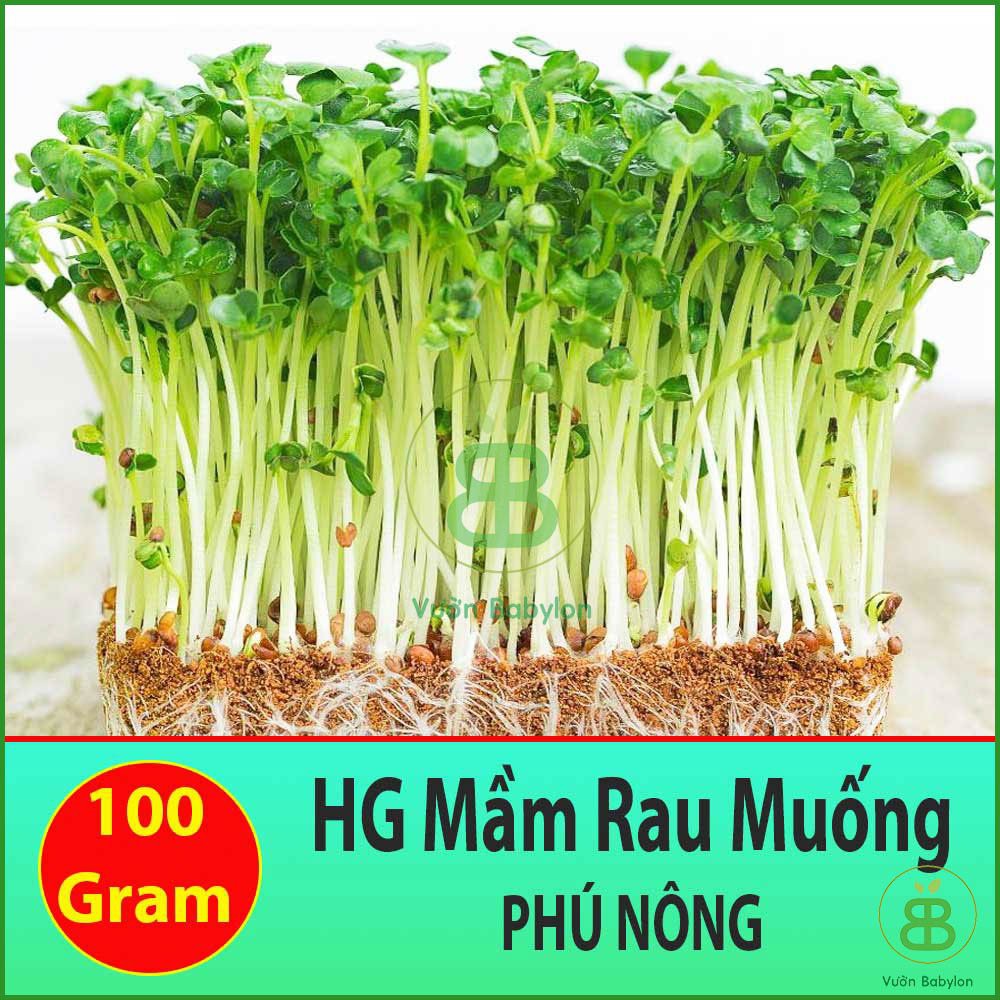 Hạt Giống Mầm Rau Muống  100Gr Nhanh Thu Hoạch