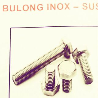 Bulon inox nhiều loại 6lyx10 con