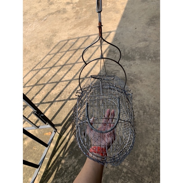 Lụp inox chim sâu, khuyên và các dòng chim nhỏ