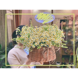 Giỏ cắm hoa bằng mây kiểu túi