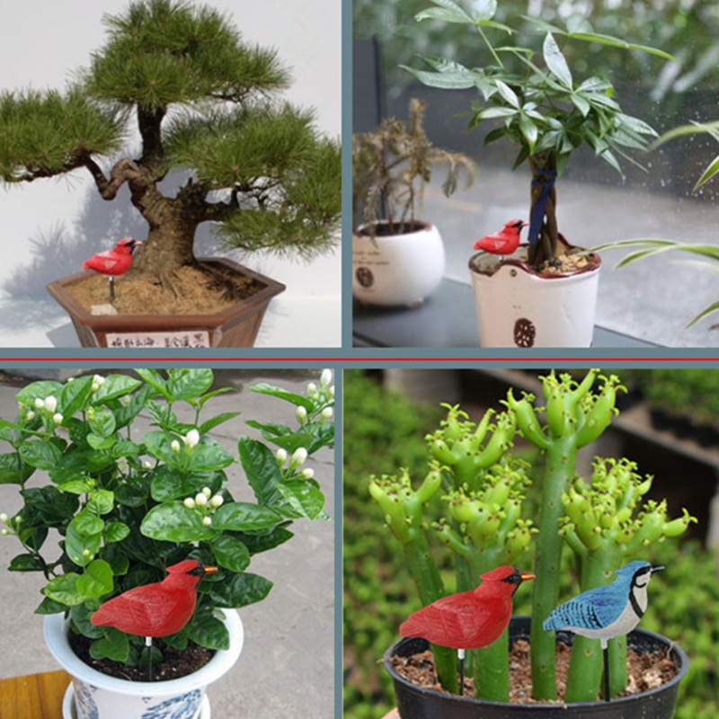 Máy Đo Độ Ẩm Đất Tự Động Dành Cho Trồng Cây Bonsai