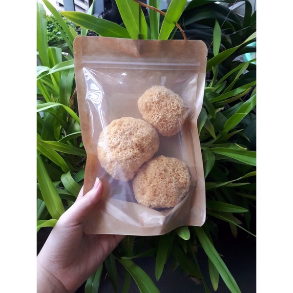 Nấm tuyết, nấm ngân nhĩ không tẩy trắng hàng thượng hạng