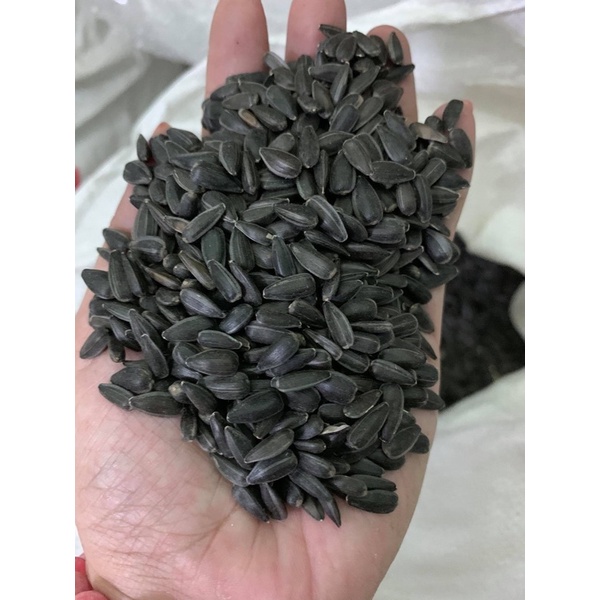 500g Hạt hướng dương nhỏ cho Lb , cockatiel , parotlet.
