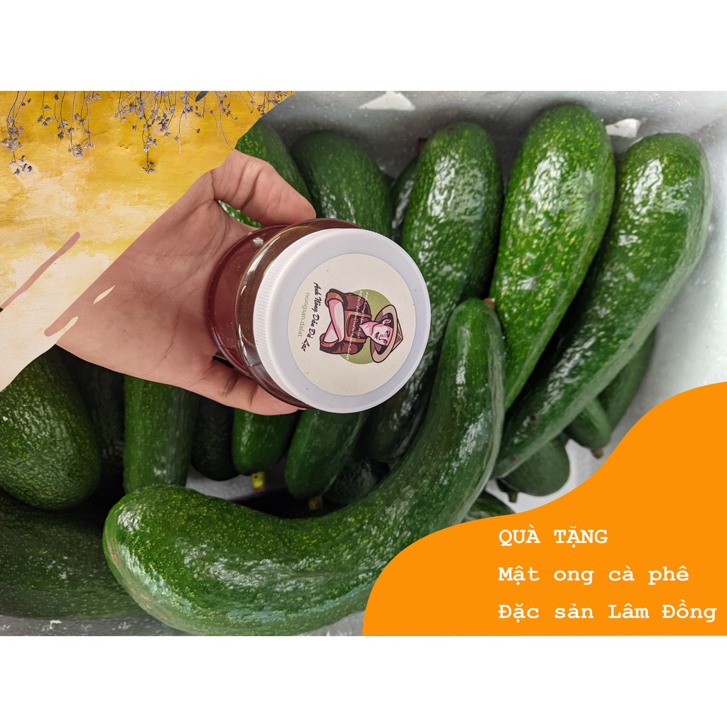 BƠ 034 - 10KG BƠ Nhà Trồng - Đặc Sản Bơ Lâm Đồng_Dẻo_Béo_Ngậy_ #bơ034 | BigBuy360 - bigbuy360.vn