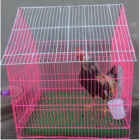Lồng nuôi gà tre sơn tĩnh điện, nhiều màu sắc, khoảng cách nan 1.5cm lồng 45cm x50cm x50cm