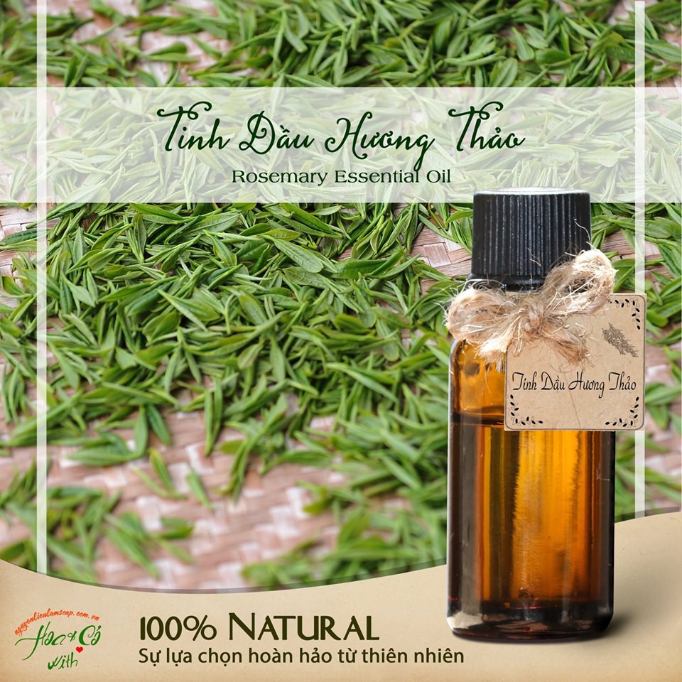 Tinh Dầu Hương Thảo Hữu Cơ ( Organic RoseMary Essential Oil )