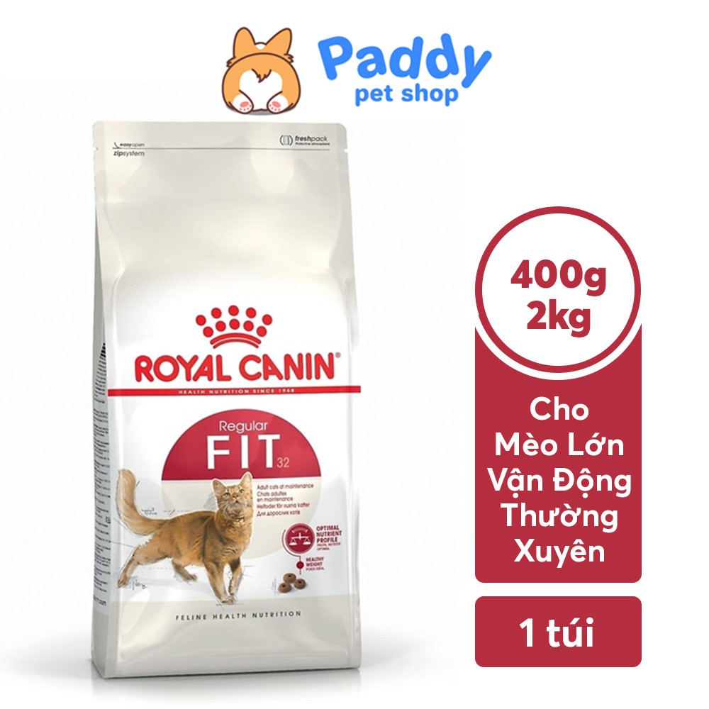 Hạt Royal Canin Fit 32 Cho Mèo Trưởng Thành Vận Động Thường Xuyên