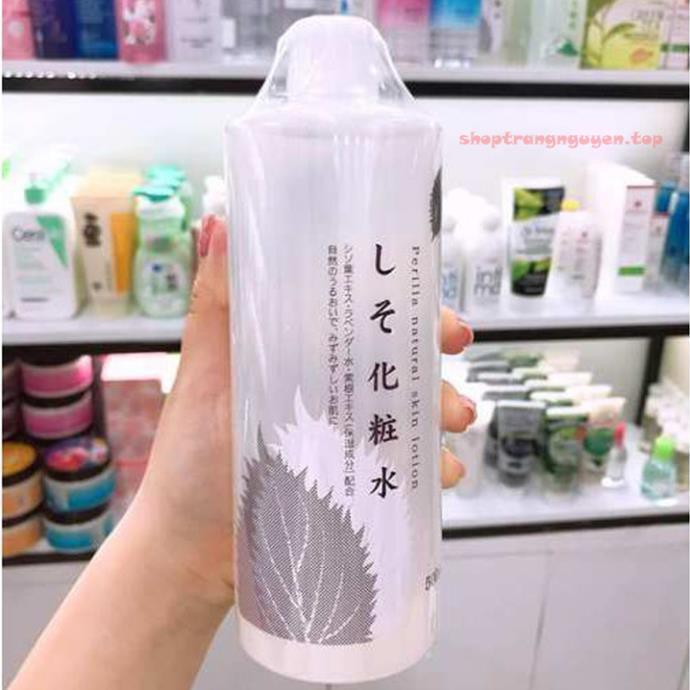 Nước hoa hồng tía tô Dokudami Chinoshio 500ml Nhật Bản