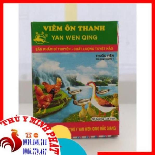 1 HỘP VIÊM ÔN THANH (24 VIÊN)