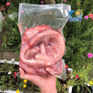 Giá Sỉ 1Kg Cá Ninja - Q12