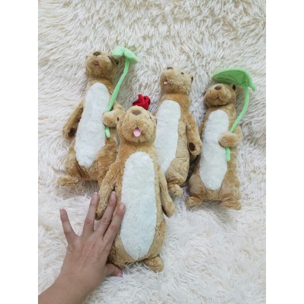 Gấu bông con chuột hải ly rái cá cầm lá sen hoa hồng