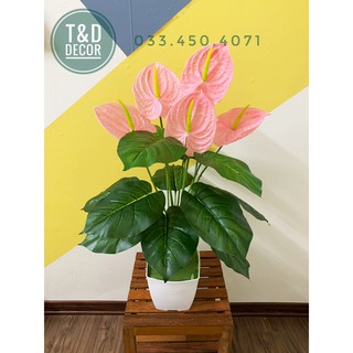 Cây giả- cây môn hồng 70cm