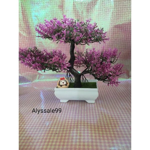 Cây cảnh thanh lí