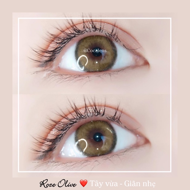 Lens giãn nhẹ ROZE bán chạy nhất shop