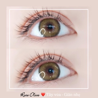 Lens giãn nhẹ ROZE bán chạy nhất shop