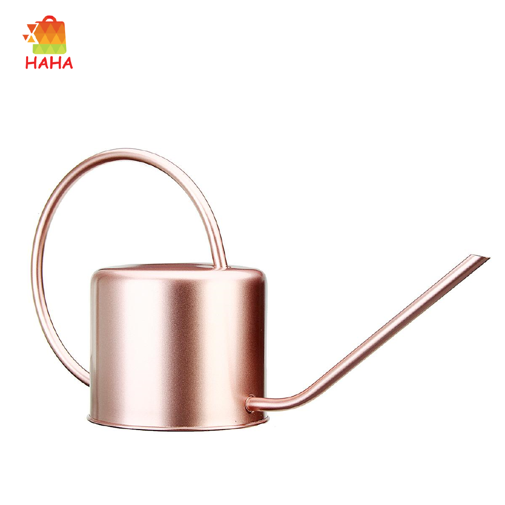 Bình Tưới Cây Bằng Thép Không Gỉ 1300ml