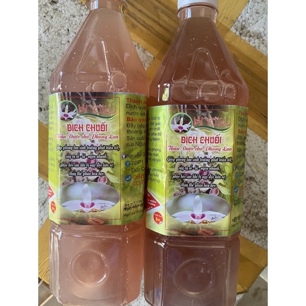 dịch chuối -thần dược cho lan
