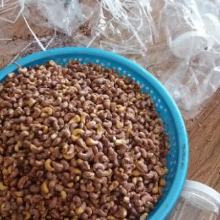 Hạt điều bình phước