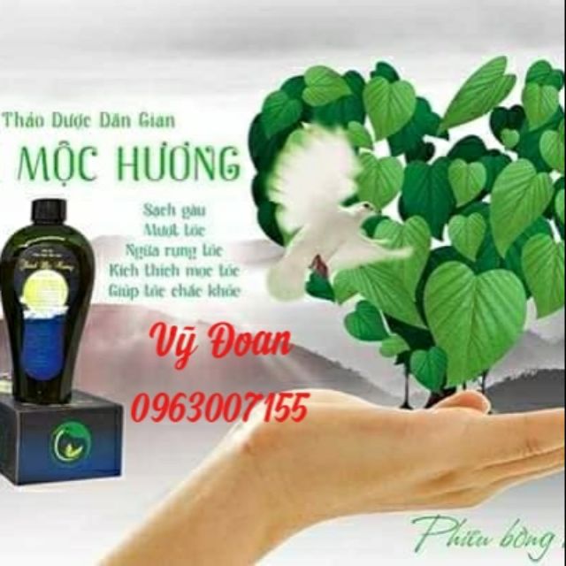 DẦU GỘI THẢO DƯỢC DÂN GIAN THANH MỘC HƯƠNG- TRỊ NGỨ, GÀU, RỤNG TÓC