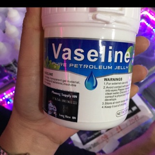 Vazelin xăm hình