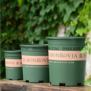 Chậu MONROVIA 7GL_kèm đĩa