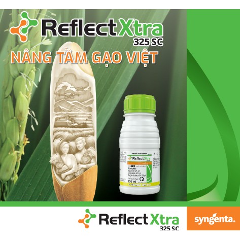 Chế phẩm Reflect Xtra 325SC - Quản lý khô vằn, lem lép hạt cho cây