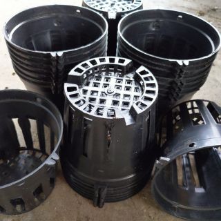 Giá xưởng chậu trồng hoa lan pi12