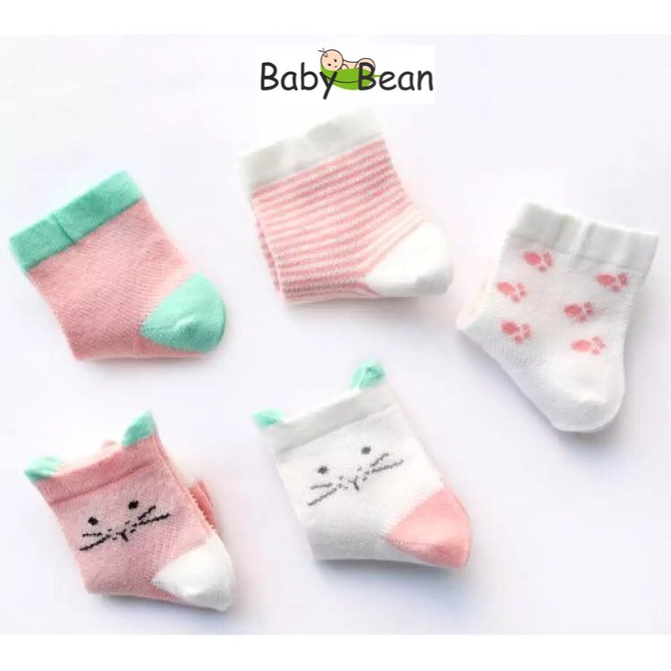 Set 5 Đôi Tất Thun Cotton Bé Sơ Sinh BabyBean (MÀU NGẪU NHIÊN)