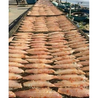 79k 500gr Cá lưỡi trâu 1 nắng(giao nhanh TP HCM)