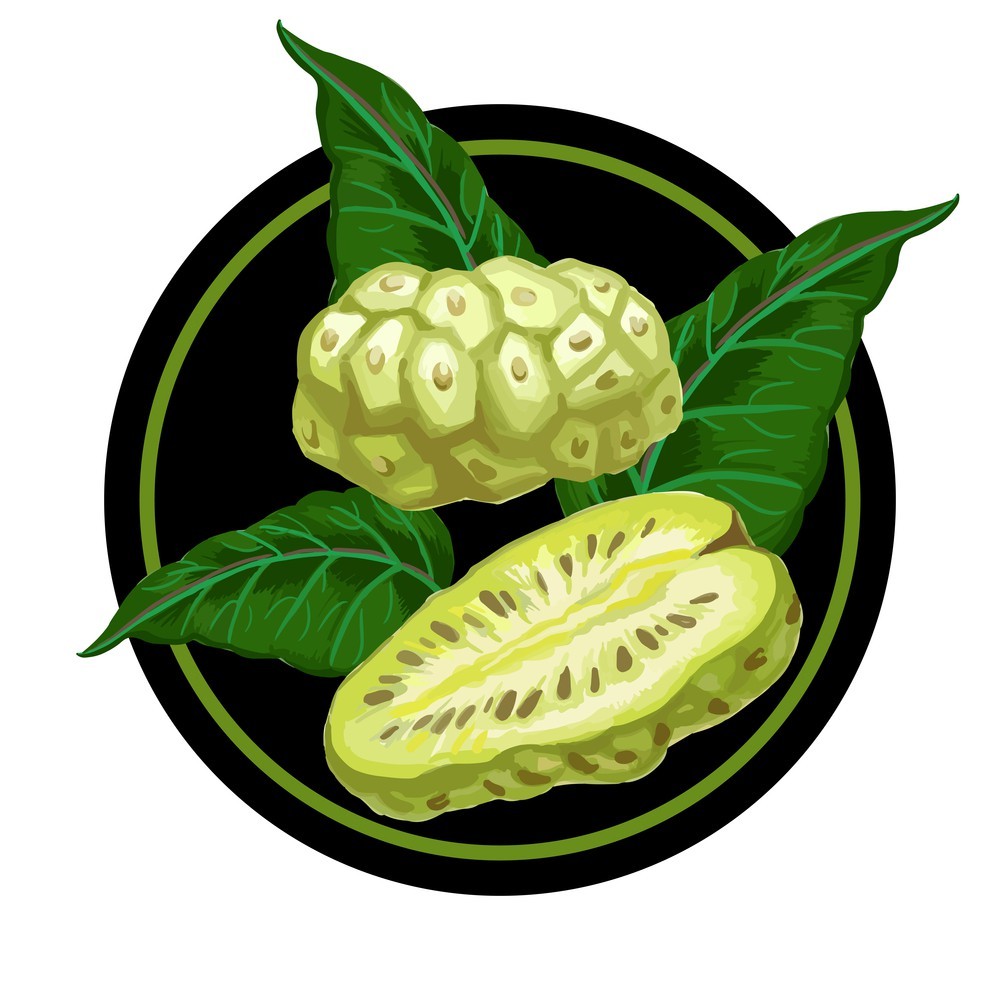 nonigreenvietnam